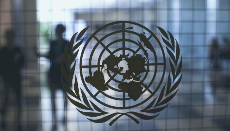 BM’den Türkiye’ye küstah kelamlar: Derhal hür bırakın